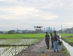 Dandim 1404/Pinrang Pantau Penyemprotan Menggunakan Drone Di Lokasi Pertanian Modern Kodim 1404/Pinrang