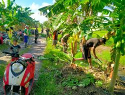 Penuhi Kebutuhan Air Petani, Babinsa Jajaran Koramil-06 Kodim 1404/Pinrang Bersama Warga Bersihkan Saluran Irigasi