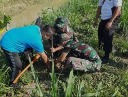 Lestarikan Lingkungan Hidup Bebas Banjir, Kodim 1412/Kolaka Bersama Warga Karya Bhakti Tanam Ratusan Pohon