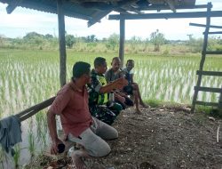 Gubuk sawah salah satu Saksi Babinsa Posramil Suka Makmue Laksanakan Komsos