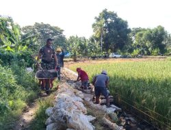 Budayakan Gotong Royong, Babinsa 01/Ajangale Membantu Masyarakat Buat Pondasi Jalan Tani