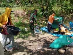 Dukung Swasembada Pangan, Babinsa Koramil Ponre Dampingi Petani Rontok Jagung