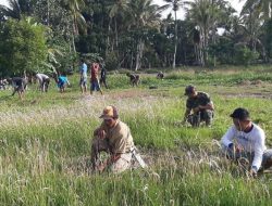 Lestarikan Budaya Gotong Royong, Babinsa Dua Boccoe Bersama Warga Kerja Bakti Bersihkan Lapangan Bola