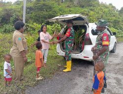 Babinsa Koramil 04/Aitinyo Barat Bersama Warga Menanam Bibit Pohon Pinang