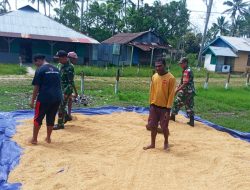 Babinsa Koramil Kimaam Bantu Masyarakat Menjemur Gabah