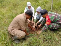 Hijaukan Lingkungan, Babinsa Koramil 02/Sinjai Barat Kodim 1424/Sinjai Gelar Penanaman Pohon Keras