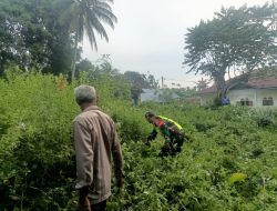 Babinsa Koramil 28/Meurah Dua Bersama Warga Bersihkan Semak Belukar di Desa Pante Beureune