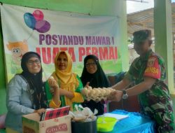 Dukung Progam Balita Sehat,Babinsa Koramil 0907/04 Tarut Dampingi Giat Posyandu Diwilayah