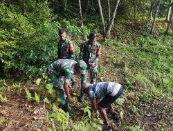 Babinsa Satgaster Menanam Pohon Pinang Bersama Masyarakat