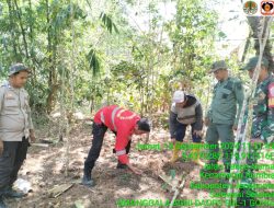 Cegah Karhutla, Babinsa Koramil 04 Kelara Bersama Tim Manggala Agni Lakukan Patroli Terpadu