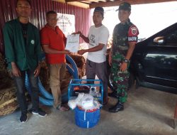 Babinsa Koramil 1425-04/Kelara Dampingi Kelompok Petani Penerima Bantuan Mesin Pompa Air Bantuan Dari Kementrian Pertanian RI
