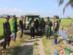 Canggih Dan Modern, Kodim 1404/Pinrang Semprot Hama Wereng Gunakan Drone Di Lahan Demplot