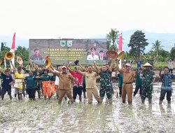 Dandim 1801/Manokwari Dampingi Pangdam XVIII/Kasuari Dalam Kegiatan Tanam Padi Perdana Di Bowi Subur