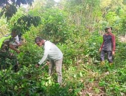 Karya Bakti: Babinsa Bersama Warga Gotong Royong Bersihkan Lahan Kosong di Tanoh Mirah