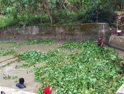 Antisipasi Banjir, Babinsa Dua Boccoe Turun Langsung Lancarkan Aliran Air Dari Tumpukan Eceng Gondok