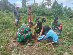 Hijaukan Lahan Yang Gundul, Babinsa Ponre Bersama Warga Tanam Pohon 