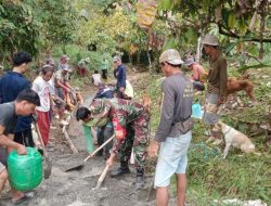 Babinsa 08 Lamuru Turut Bergotong Royong Bersama Warga Benahi Jalan Usaha Tani