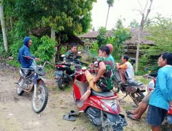 Bangun Keakraban, Babinsa Corawali Koramil 11 Barebbo Komsos Bersama Warga Binaannya