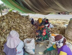 Babinsa Waempubbu Pos Ramil Amali Koramil 05/Ulaweng Bantu Kupas Jagung Milik Warga