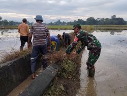 Lancarkan Pengairan Ke Sawah, Babinsa Koramil 11/Barebbo Bersama Masyarakat Bersihkan Saluran Irigasi