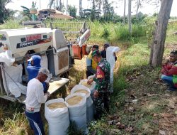 Babinsa Cina Senantiasa Berikan Pendampingan Guna Meningkatkan Hanpangan Di Wilayah