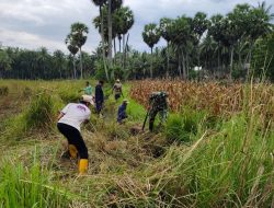 Wujudkan Hidup Sehat, Babinsa Kading Ramil 06/Awangpone Bersama Warga Bersihkan Selokan