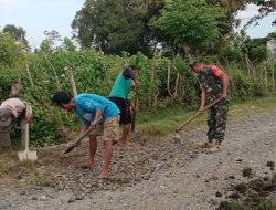 Babinsa Mare Gotong Royong Bersama Warga Benahi Jalan Desa Yang Berlubang