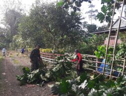 Gelar Karya Bakti, Babinsa Cina Sasar Pembersihan Badan Jalan Desa Lompu