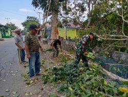 Babinsa Koramil 13/Sibulue Melaksanakan Bakti TNI Bersihkan Jalan Poros Desa Pattiro Bajo 