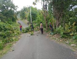 Babinsa Salebba Koramil Ponre Kerja Bakti Bersama Warga Bersihkan Ranting & Pohon