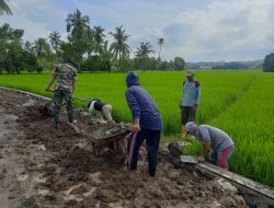 Babinsa Manera Koramil 17/Salomekko Bantu Warga Binaan Bangun Talud Jalan Tani