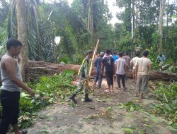 Babinsa Koramil02/Seunagan Timur Bantu Bersihkan Pohon Tumbang