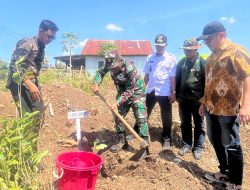 Dandim 1425/Jeneponto Bersama Forkopimda Tanam Ratusan Pohon Pada Pembukaan TMMD Ke 122 TA 2024