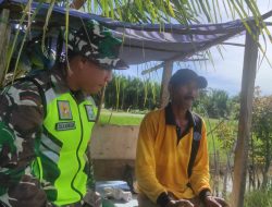 Manfaatkan Gubuk Sederhana, Babinsa Posramil Kuala Pesisir Komsos Dengan Petani