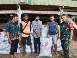 Pastikan Tersalur, Babinsa Maros Dampingi Pembagian Pupuk NPK dan Racun Tosban kepada Kelompok Tani