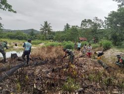 Cegah Tanah Longsor dan Banjir, Kodim 1412/Kolaka Gelar Karya Bhakti Tanam Ratusan Pohon Pelindung