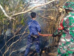 Aksi Sigap Babinsa Maros Bersama Damkar Berhasil Padamkan Kebakaran Lahan Warga