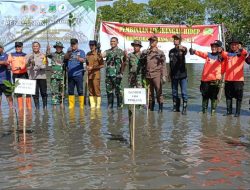 Kodim 1404/Pinrang Bersama Polres Dan Pemda Gelar Aksi Tanam Mangrove
