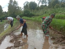 Babinsa Koramil 06/Sinjai Borong Kodim 1424/Sinjai Dampingi Petani Mengolah Lahan Perluasan Areal Tanam (PAT)