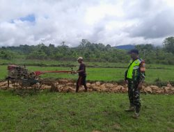 Babinsa Koramil 04/Beutong Bantu Petani Bajak Sawah di Desa Binaan