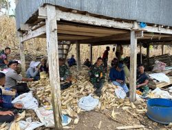 Sembari Bersenda Gurau Di Waktu Rehat, Satgas TMMD Ke-122 Kodim 1407/Bone Sempatkan Bantu Warga Panen Jagung