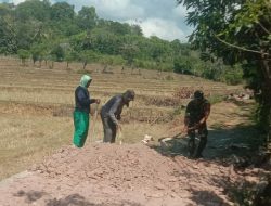 Babinsa Bonepute Ramil Tonra Bersama Masyarakat Ratakan Jalan Usaha Tani Menuju Sawah