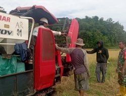 Babinsa Kahu Dampingi Warga Memanen Padi Menggunakan Mesin