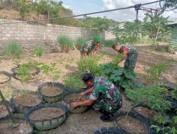 Anggota Koramil 18/Kajuara Lakukan Perawatan Kebun Ketahanan Pangan Makoramil