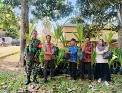 Babinsa Koramil 06/Awangpone Dampingi Pembagian Bibit Pohon Kelapa Di Desa Carigading