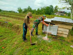 Babinsa Koramil 1407-10/Ponre Dampingi Pompanisasi Lahan Pertanian Di Sawah