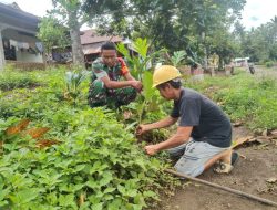 Babinsa Koramil 18/Kajuara Bersama Warga Desa Abbumpungeng Tanam Pohon Sukun