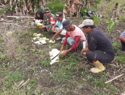 Babinsa Koramil 11/Barebbo Komsos Bersama Warga Binaannya