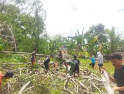 Babinsa Solo Koramil 02/Dua Boccoe Membantu Membersihkan Sawah Warga Yang Tertimpa Pohon