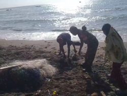 Babinsa Koramil 1425-05/Batang Gelar Karya Bakti Bersihkan Pantai Karsud